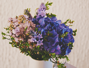 Growing Flowers
